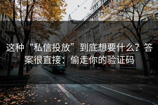 这种“私信投放”到底想要什么？答案很直接：偷走你的验证码