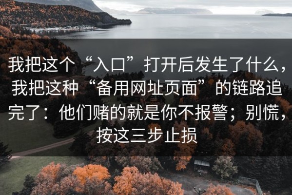 我把这个“入口”打开后发生了什么，我把这种“备用网址页面”的链路追完了：他们赌的就是你不报警；别慌，按这三步止损