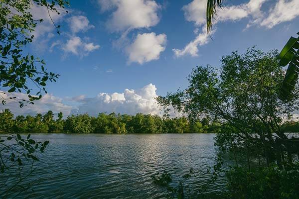 一条短信引出的整套产业链，我才明白这些页面为什么总让你“点下一步”