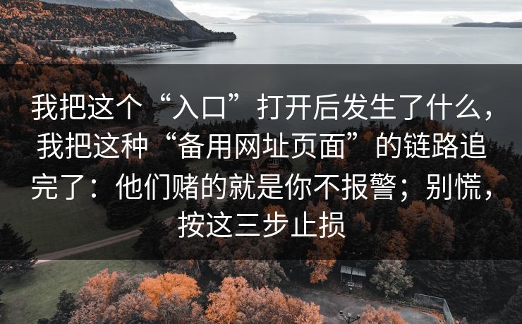 我把这个“入口”打开后发生了什么，我把这种“备用网址页面”的链路追完了：他们赌的就是你不报警；别慌，按这三步止损