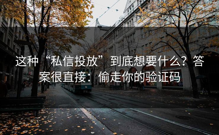 这种“私信投放”到底想要什么？答案很直接：偷走你的验证码